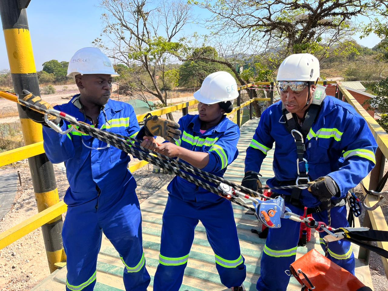 Consultancy and Other Services